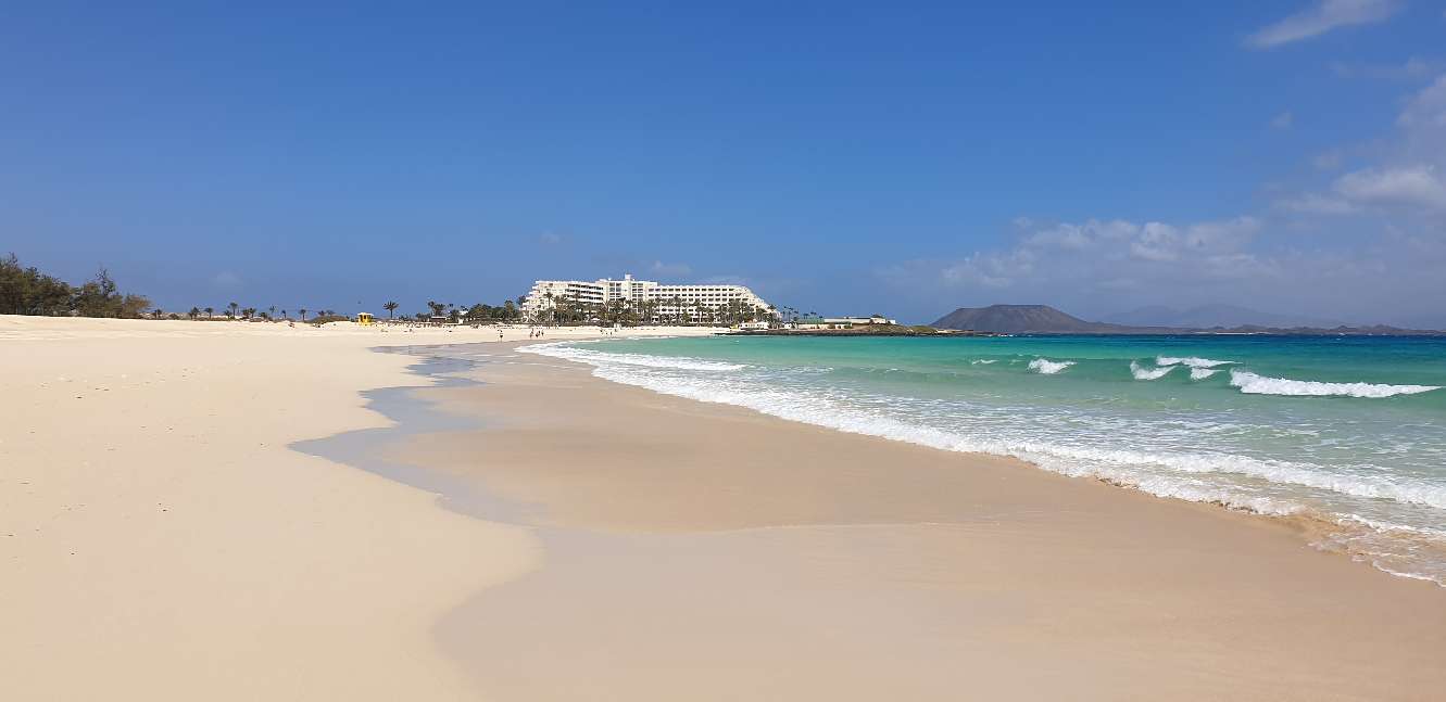 FUE 5 20210318_131339.jpg